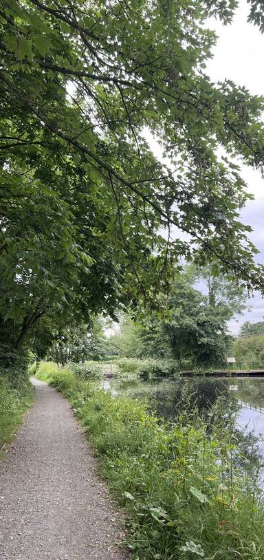 Preview of Welshpool Wildlife Walk - Step Free