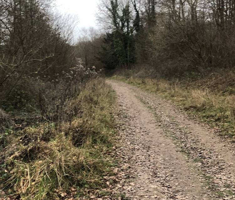 Preview of Houghton ramble