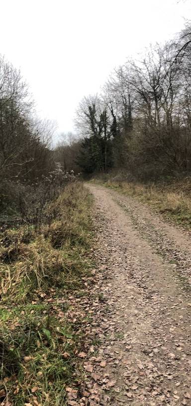 Preview of Houghton ramble