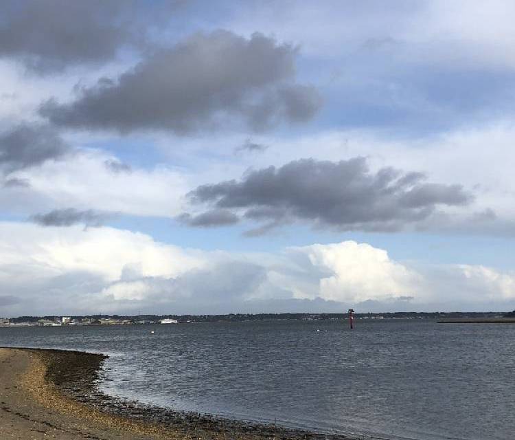 Preview of RSPB Arne Nature Reserve