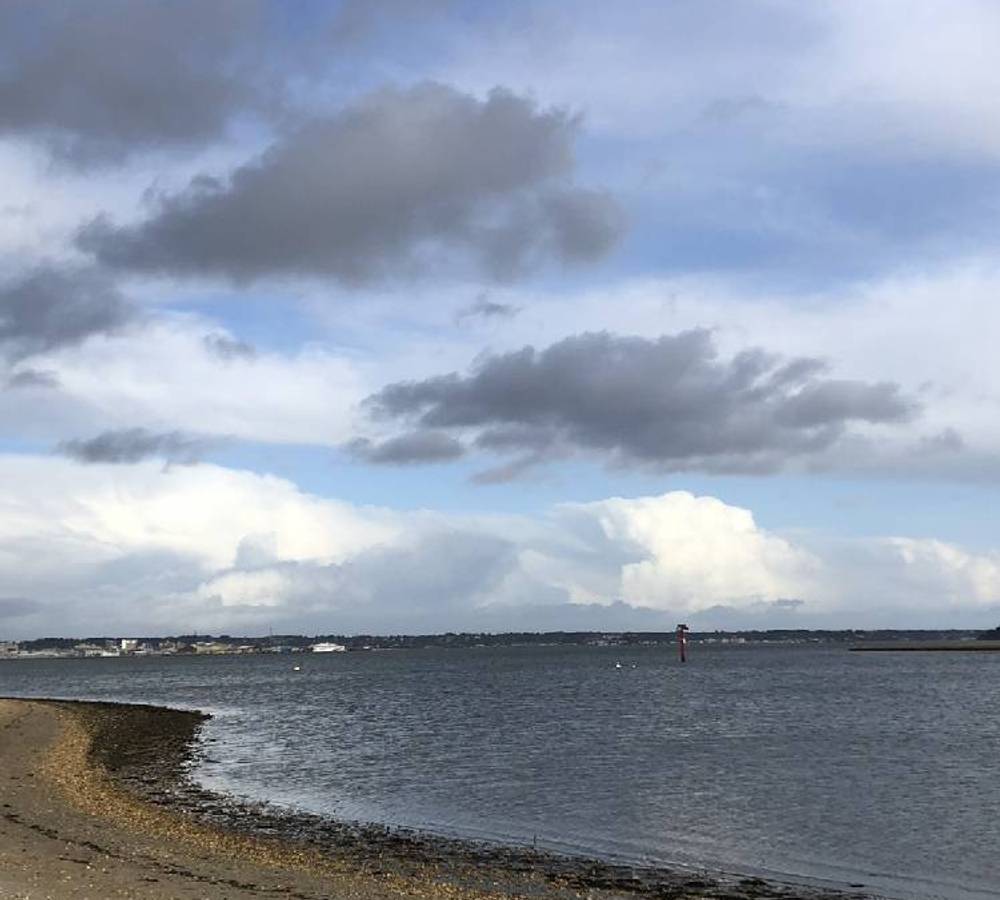 Preview of RSPB Arne Nature Reserve