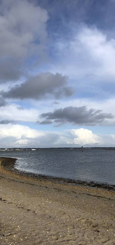 Preview of RSPB Arne Nature Reserve