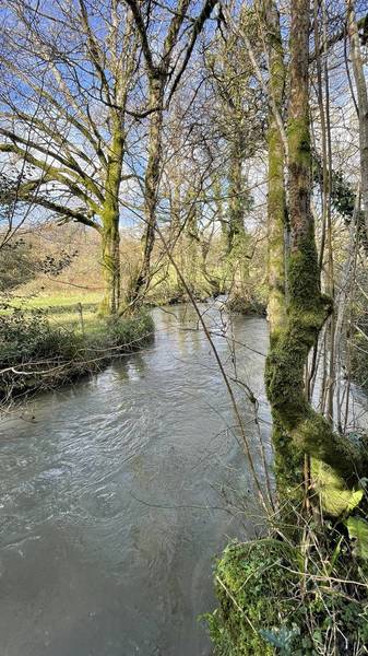 Preview of Coleford Circular