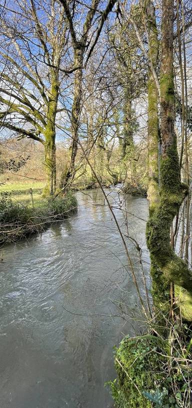 Preview of Coleford Circular