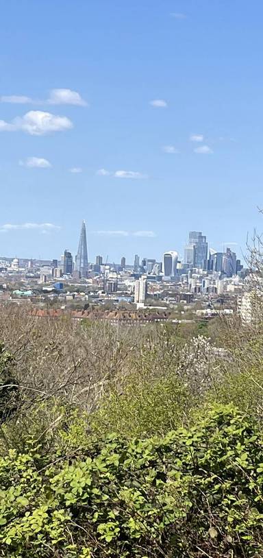 Preview of 3 Views over London