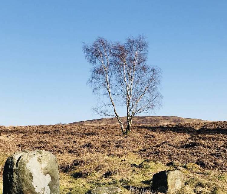 Preview of Stoke Flat Stone Circle