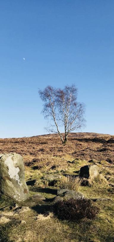 Preview of Stoke Flat Stone Circle