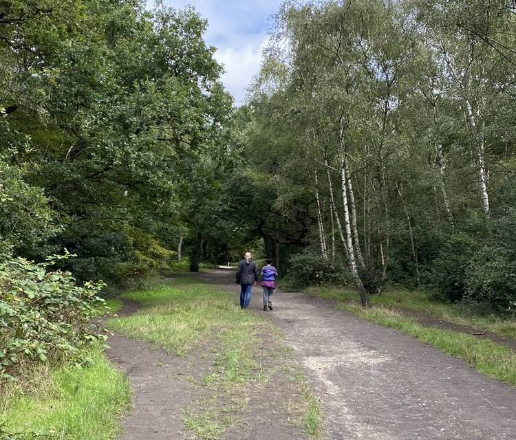 Preview of Epping Forest Centenary - Part 1