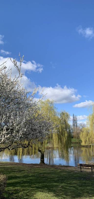 Preview of Gloucester Park Loop - Step Free