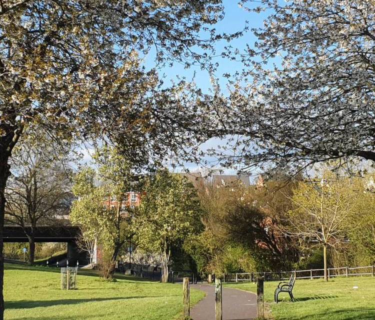 Preview of Willmott Park Lunchtime Stroll