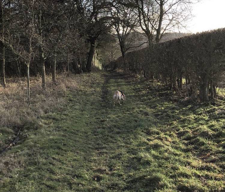 Preview of Boxford Common lap