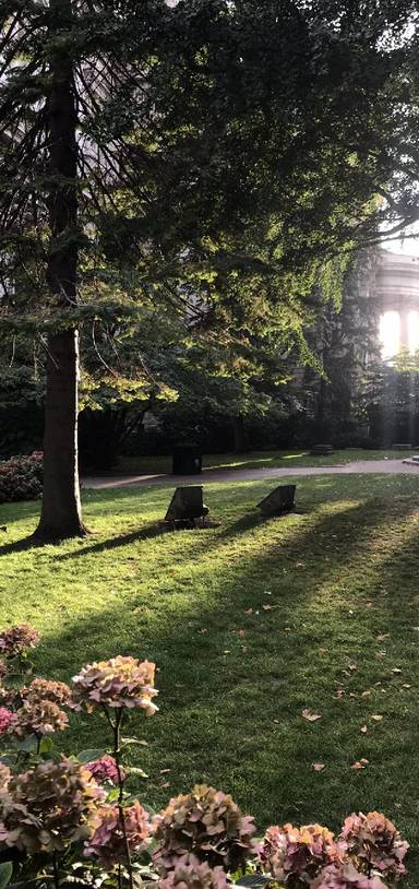 Preview of St. Paul’s Sunset Restorative Walk