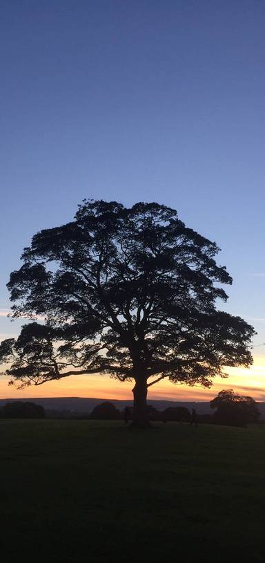 Preview of Urban Escape