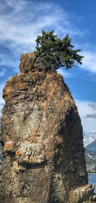 Preview of Stanley Park Circular, Vancouver