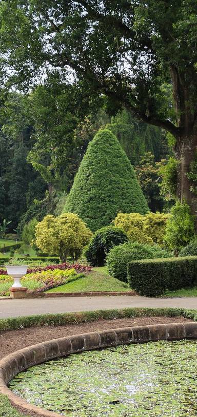 Preview of Kandy Botanical Gardens