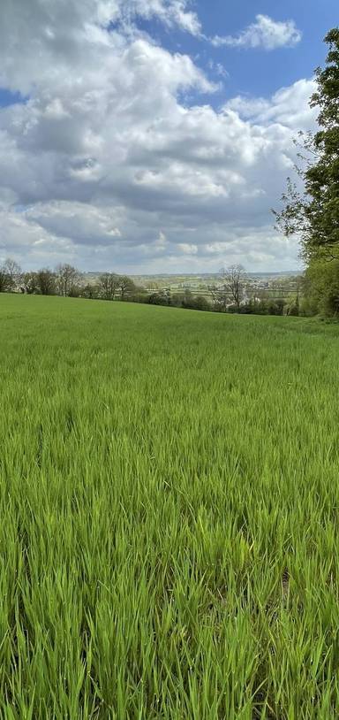 Preview of Cameley and Temple Cloud