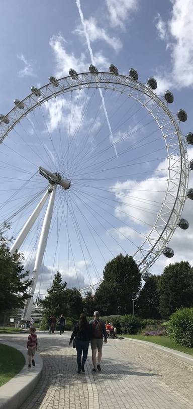 Preview of The Arup Architectural Loop