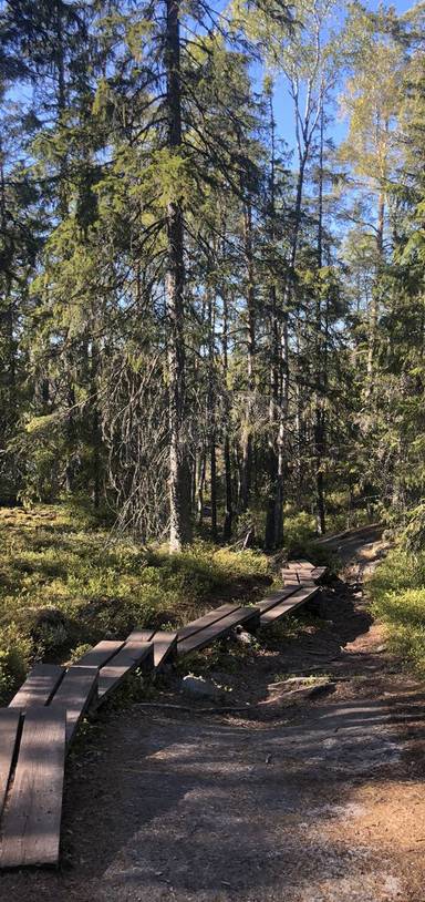 Preview of Overnight camping in Tyresta forest
