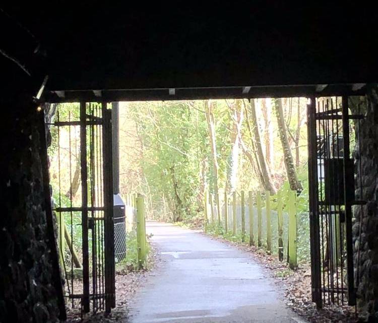 Preview of One tunnel from Springfield Park