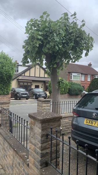 Preview of A stroll around old south Gravesend