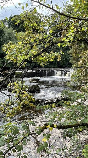 Preview of Aysgarth Falls waterfall walk