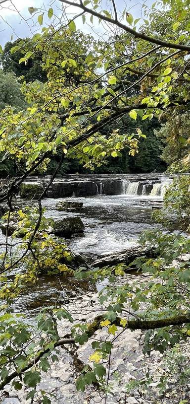 Preview of Aysgarth Falls waterfall walk