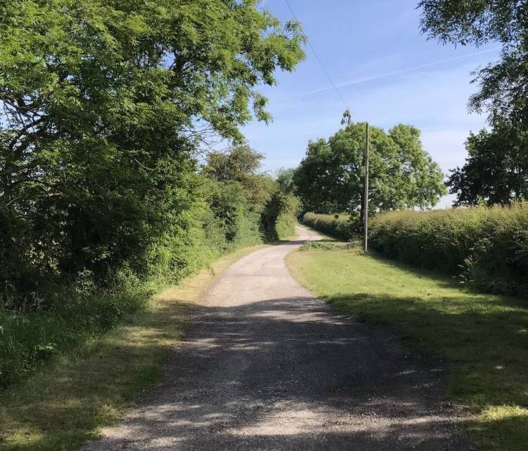 Preview of Awesome Anslow Trail