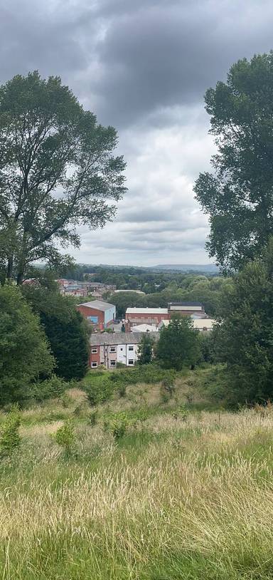 Preview of Radcliffe market coronation park