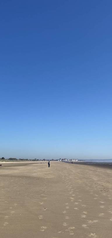 Preview of Beachside Rambles