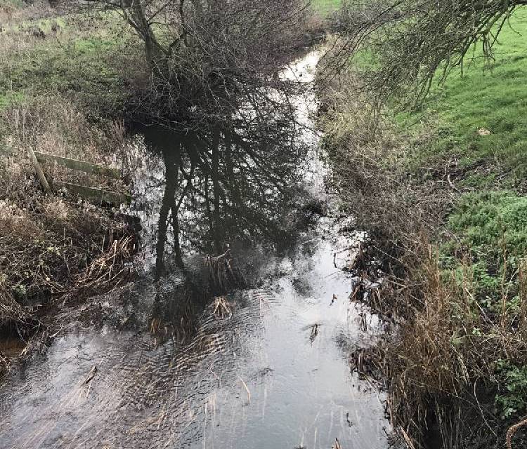 Preview of The River Dove, Eye, Suffolk