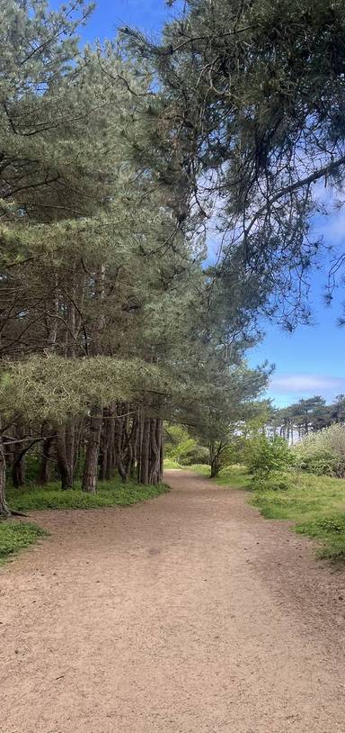 Preview of Formby Asparagus Trail