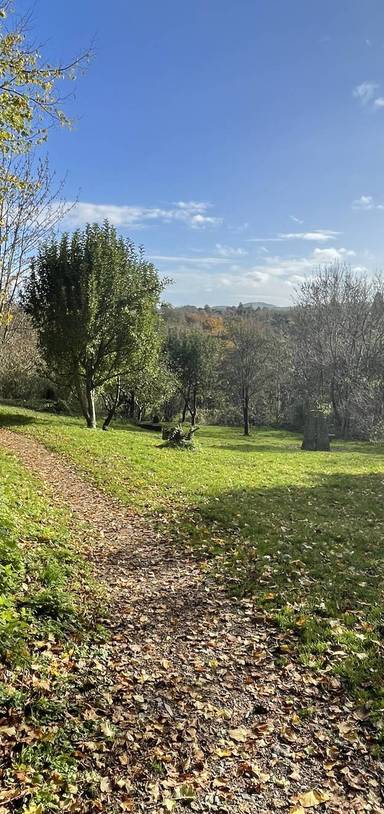 Preview of Frome Autumn Nature Hunt