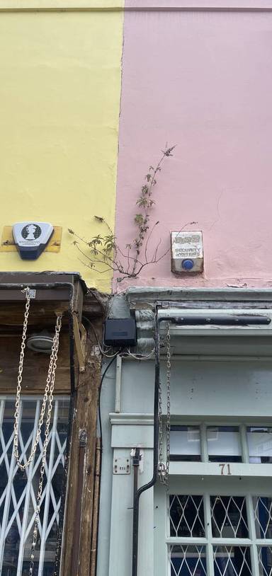 Preview of KCAW Amy Jackson Taster Trail