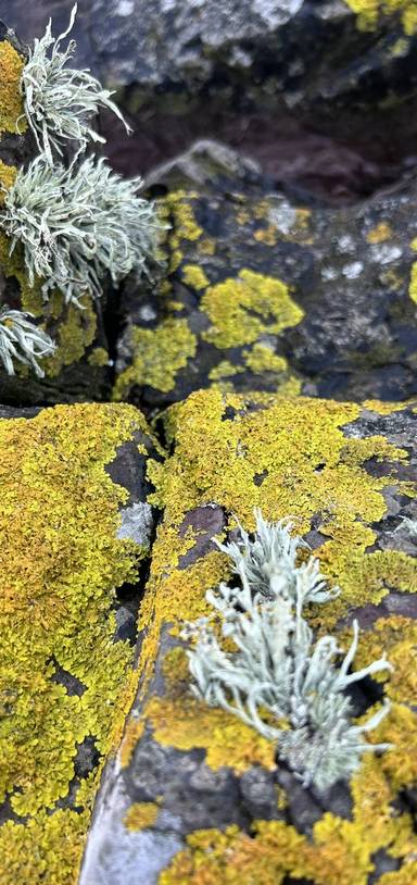Preview of Lady Bay Lazy Days Walk