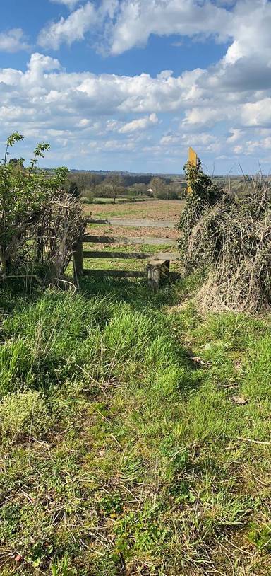 Preview of Blaby District Heritage Walk 1