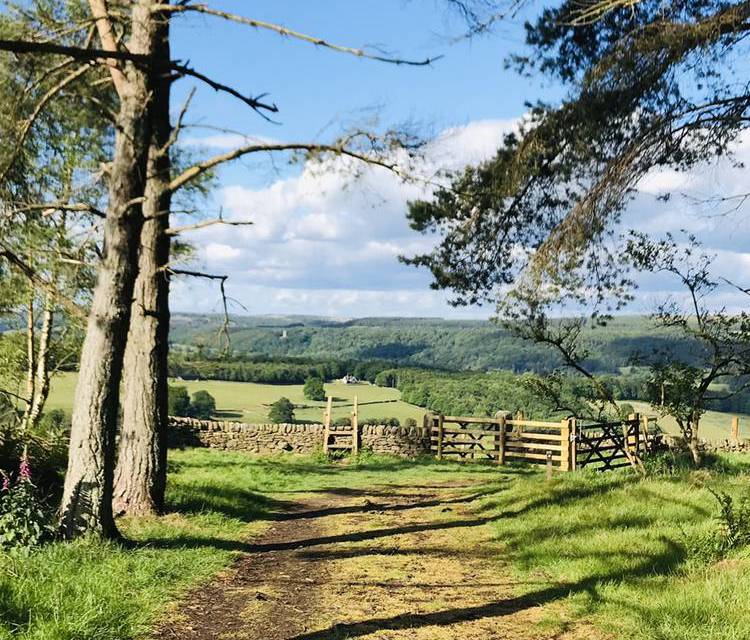 Preview of Bakewell & Haddon Estate circular