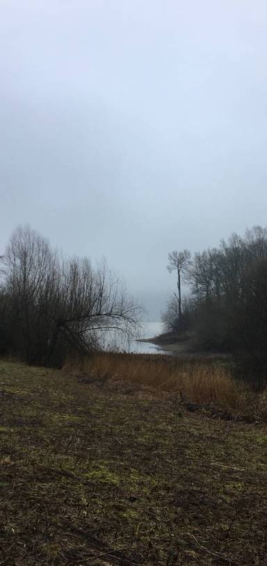 Preview of Jaunt to Carsington Water