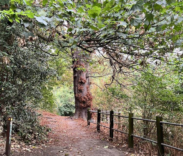 Preview of Green Chain Walk Section 2