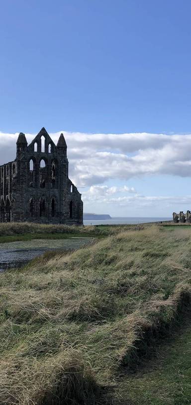 Preview of Whitby Abbey