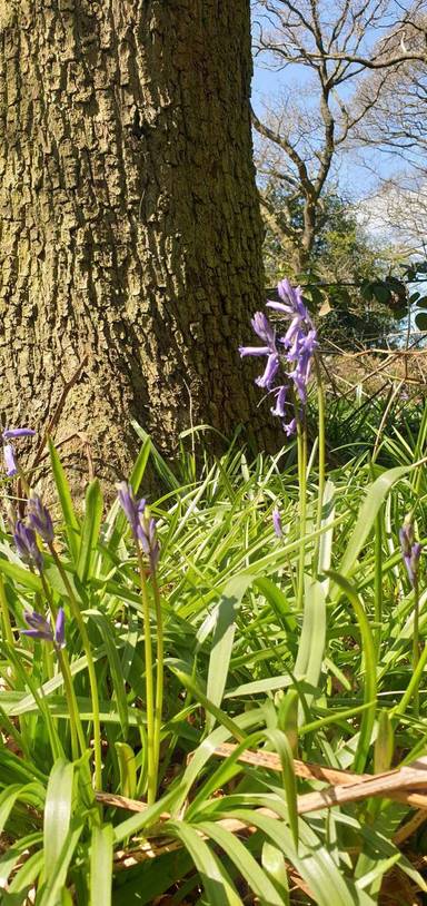 Preview of Keele University Commute