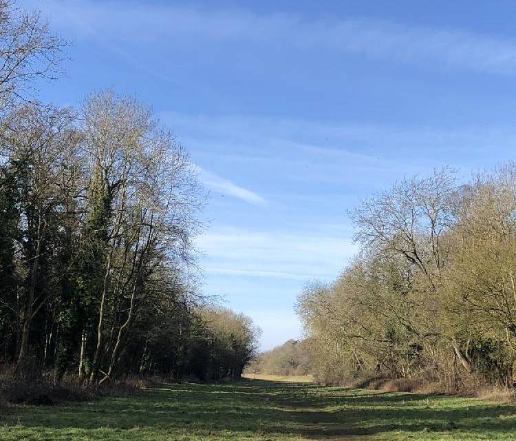 Preview of Long Walk from Old Hunstanton