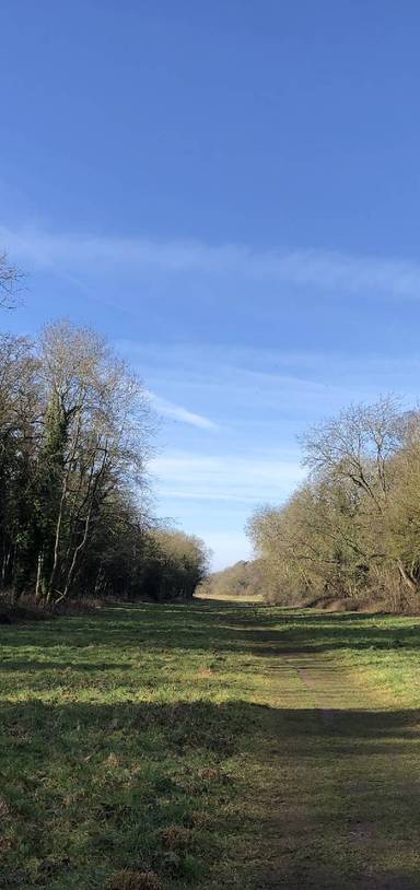 Preview of Long Walk from Old Hunstanton