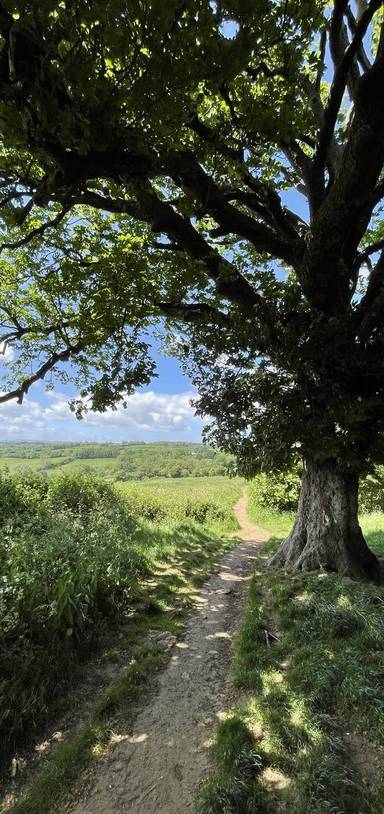 Preview of Frome, Mells & Egford River Trail