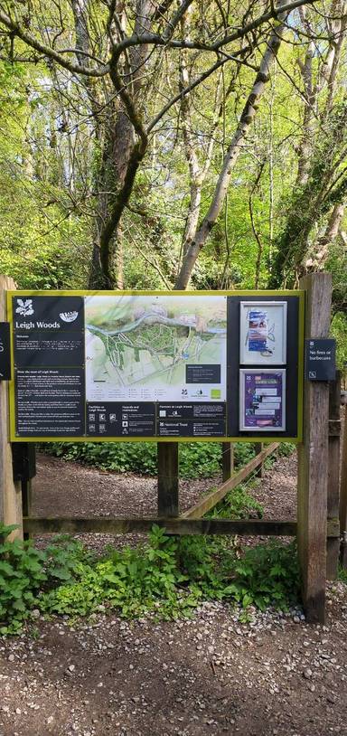 Preview of Leigh woods circular walk