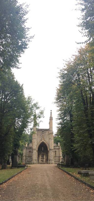 Preview of An ancient wild cemetery with a view