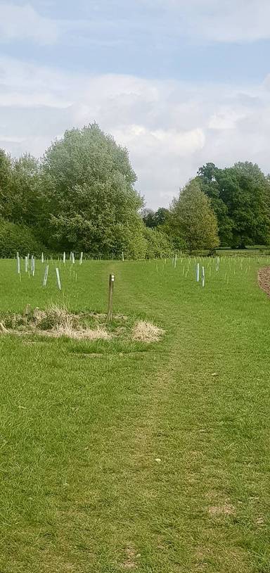 Preview of London Loop Section 15