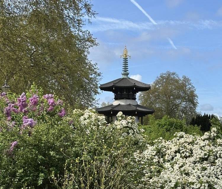 Preview of Stroll through Battersea Park.
