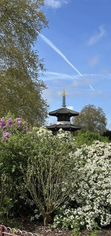 Preview of Stroll through Battersea Park.