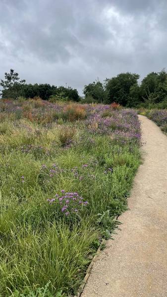Preview of Filwood Park Wildflowers Step-free