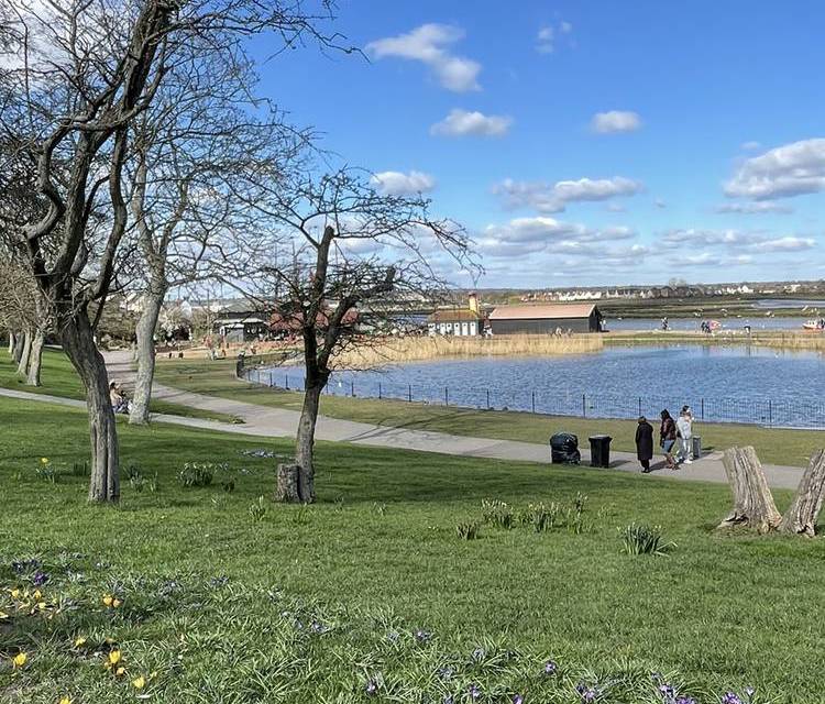 Preview of Promenade Park Trail - Step Free